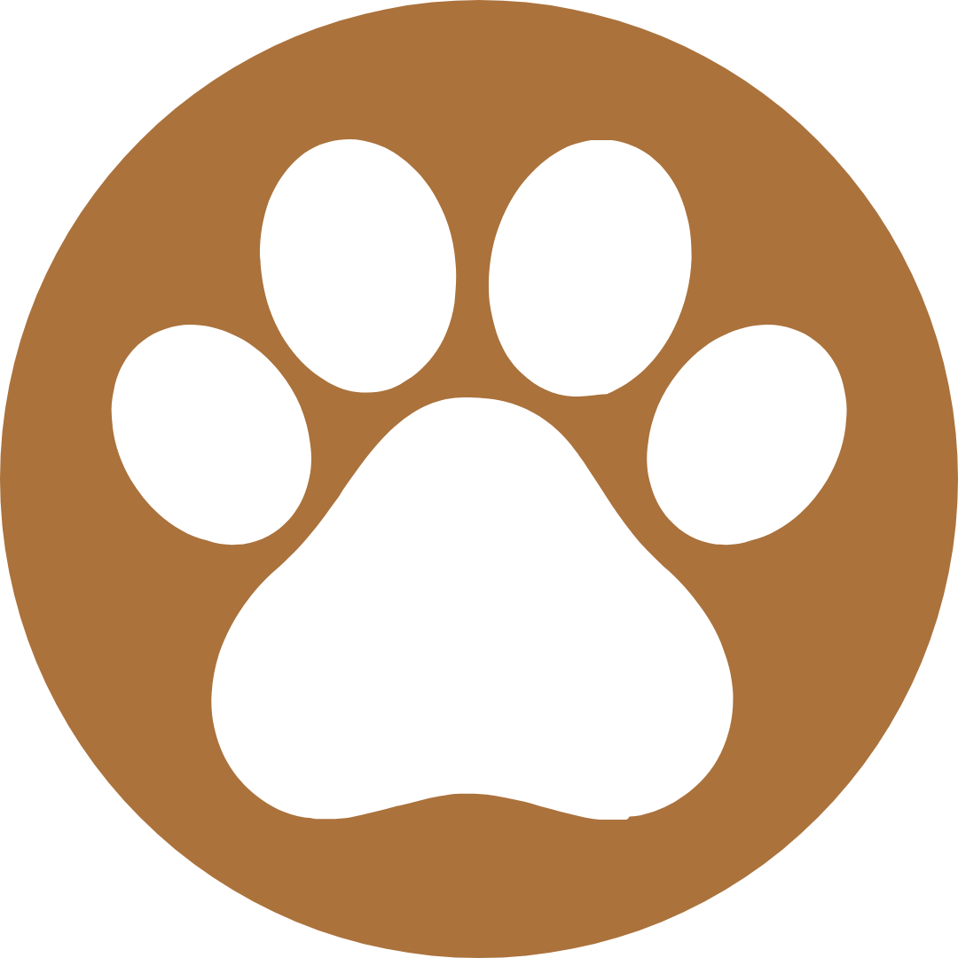 Dog Park